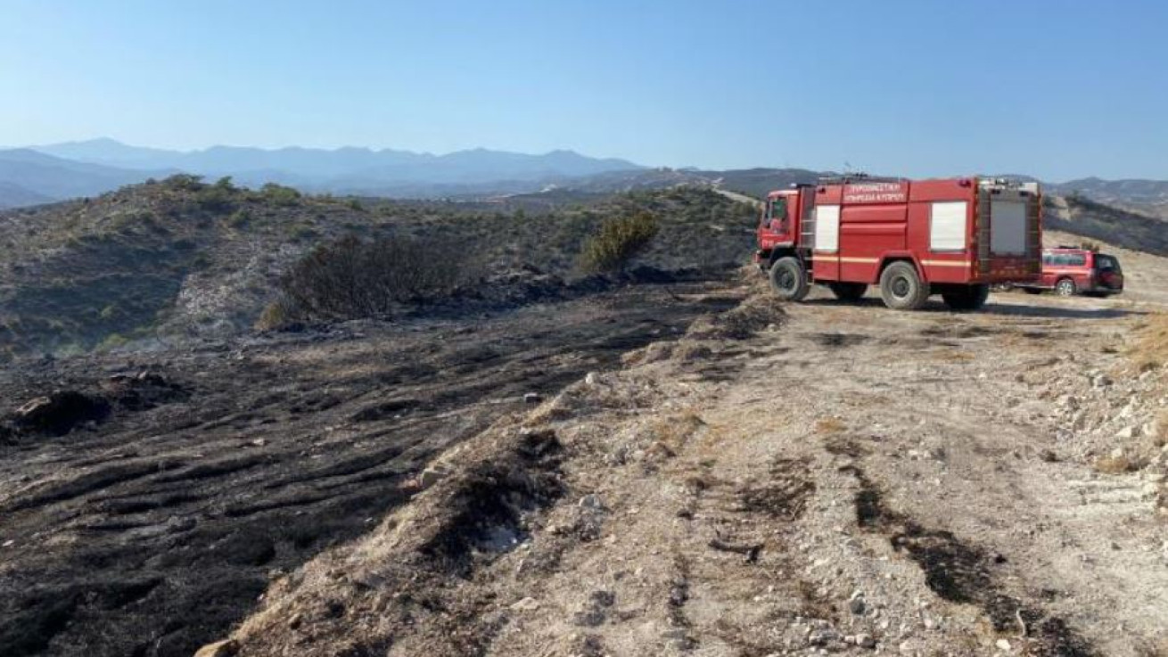 Υπουργικό: Οικονομική βοήθεια στους πυρόπληκτους γεωργούς