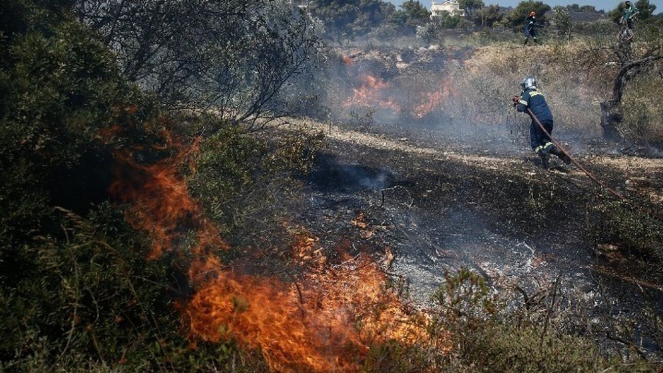 Λιγότερα δέντρα, χαμηλότερη ποιότητα αέρα που εισπνέουμε