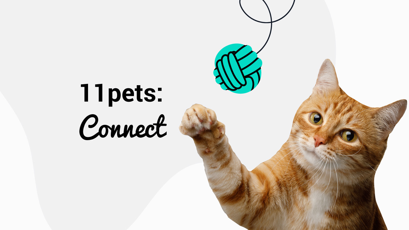 Η 11pets ετοιμάζει ακόμα ένα προϊόν το 11pets: Connect, επαναπροσδιορίζοντας την επικοινωνία στην κτηνιατρική