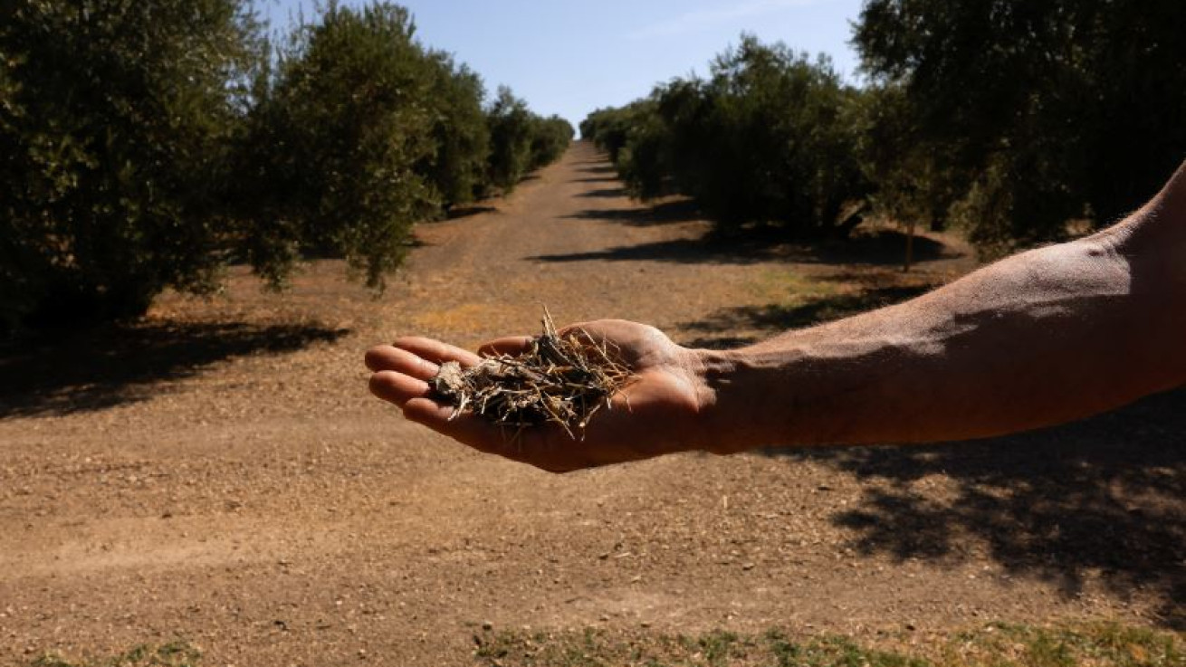 «Φωτιά» στις τιμές των τροφίμων βάζει η κλιματική κρίση