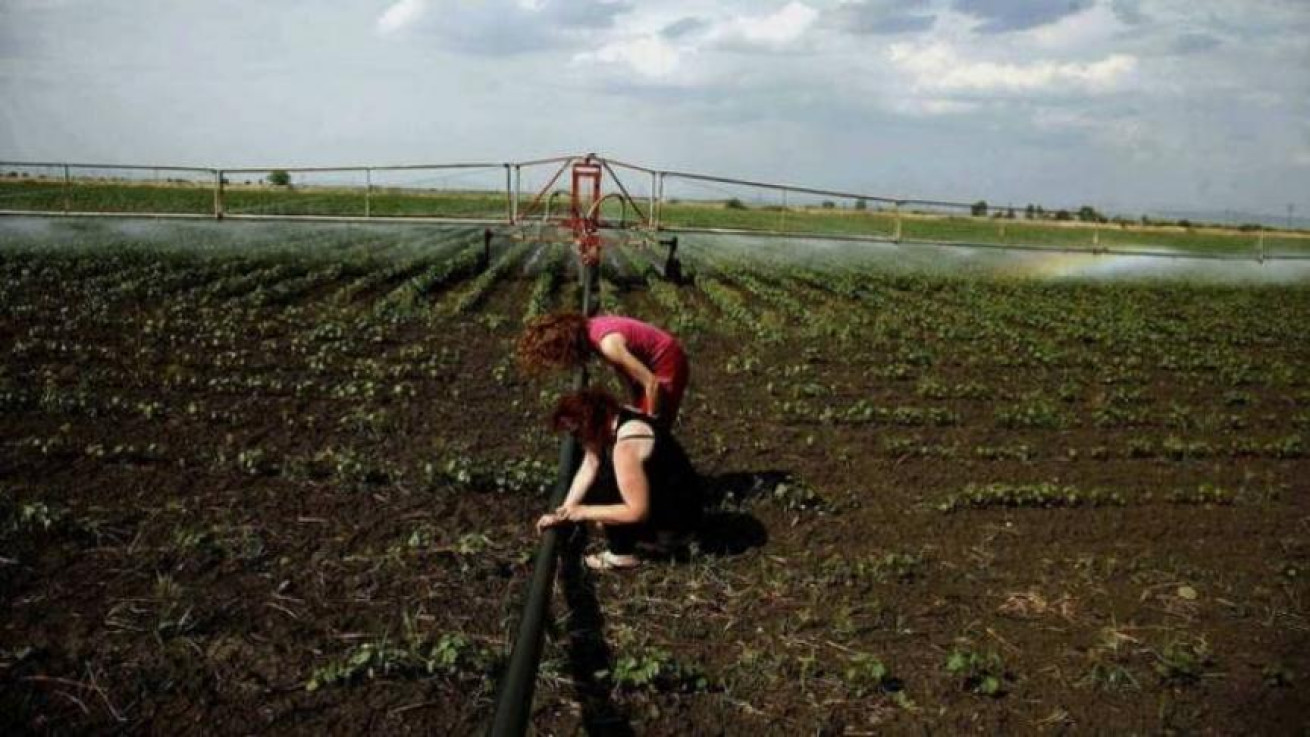 Σεμινάρια για αγρότισσες διοργανώνει το Υπουργείο Γεωργίας