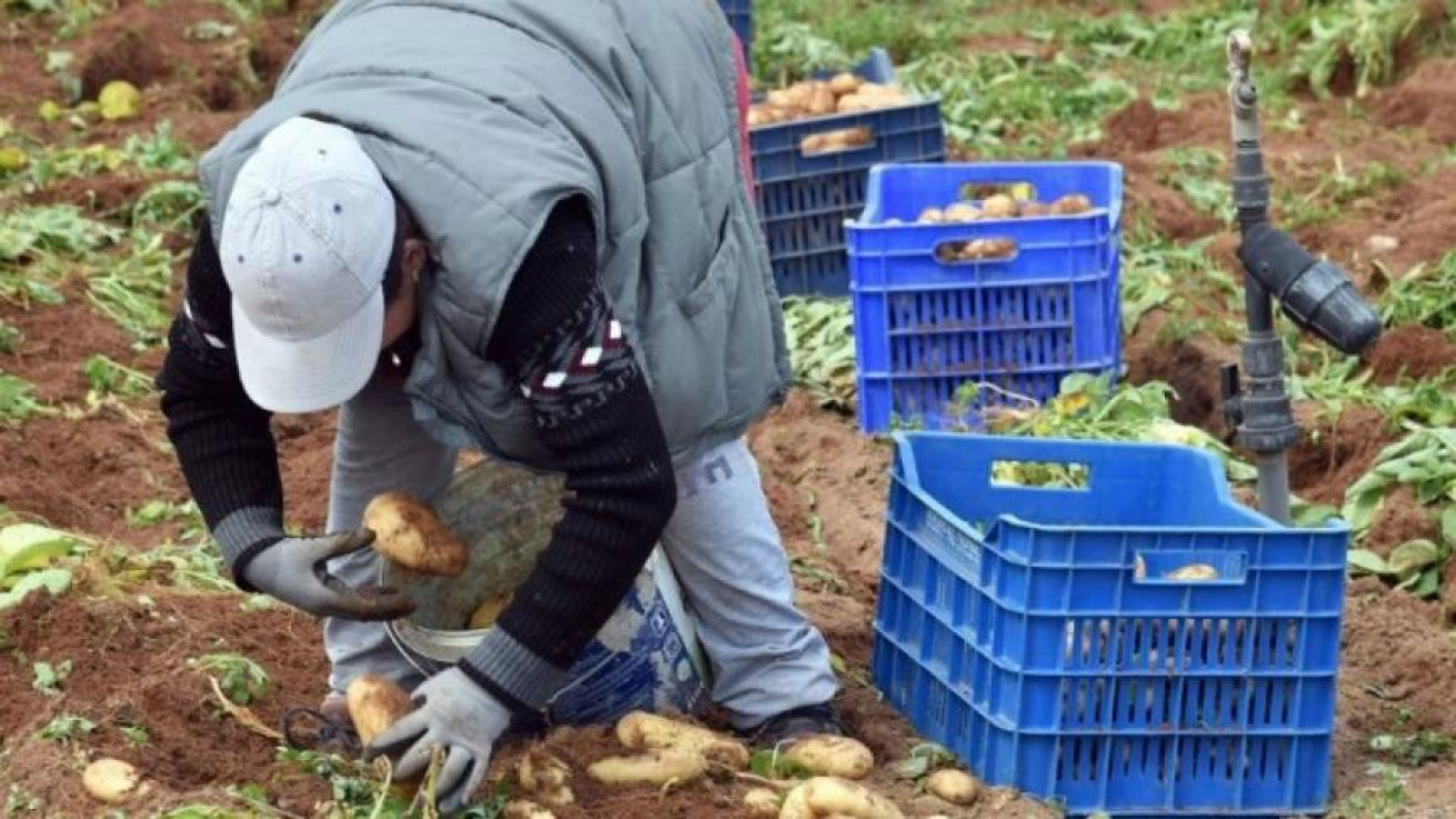 Ξανά στα χαρακώματα για ξένους εργάτες οι συντεχνίες