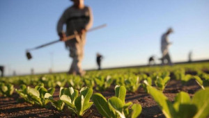 Συνεχίζεται η στήριξη του πρωτογενούς τομέα λόγω αντίξοων καιρικών συνθηκών